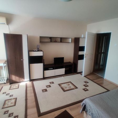 Eric'S Cozy Apartment Тимишоара Екстериор снимка
