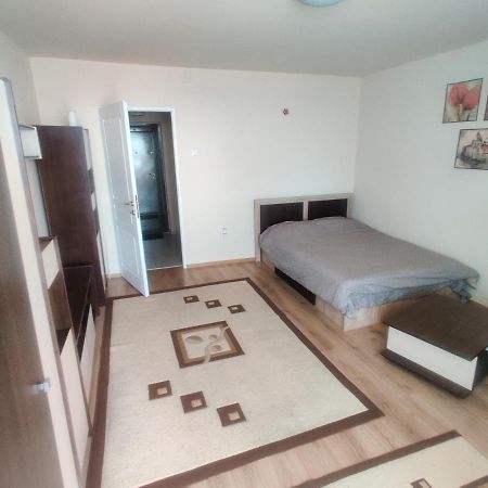 Eric'S Cozy Apartment Тимишоара Екстериор снимка