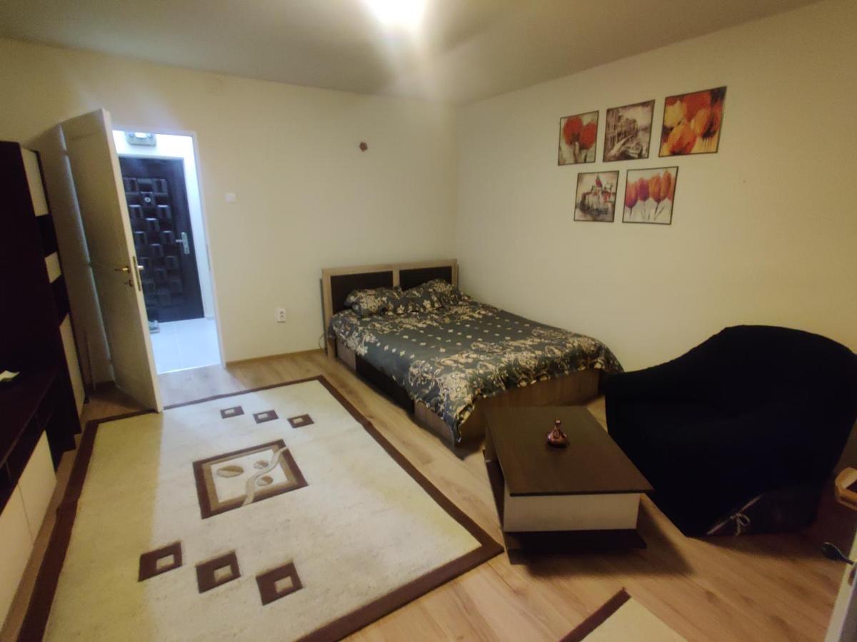 Eric'S Cozy Apartment Тимишоара Екстериор снимка