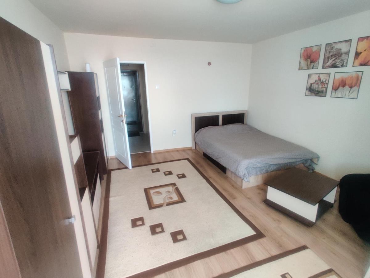 Eric'S Cozy Apartment Тимишоара Екстериор снимка